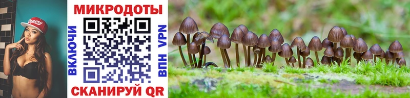 Галлюциногенные грибы Psilocybine cubensis  Ахтубинск 